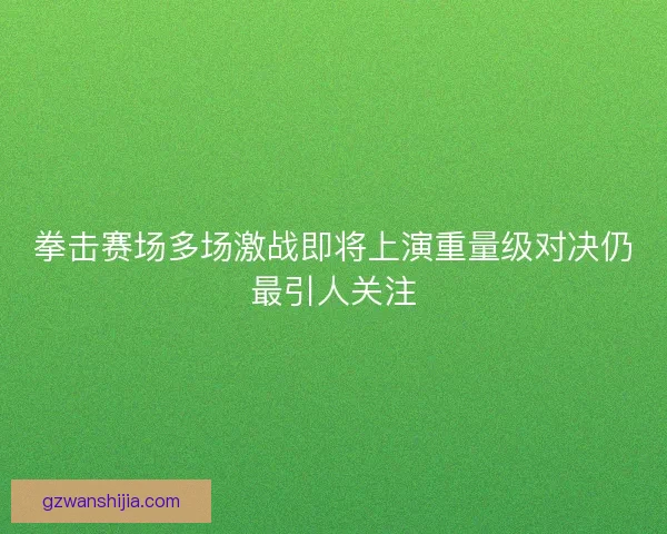 拳击赛场多场激战即将上演重量级对决仍最引人关注